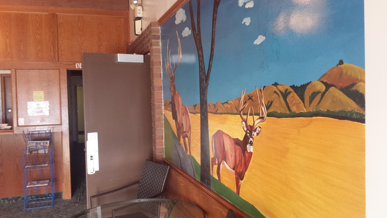 Maple Creek Motor Inn Extérieur photo